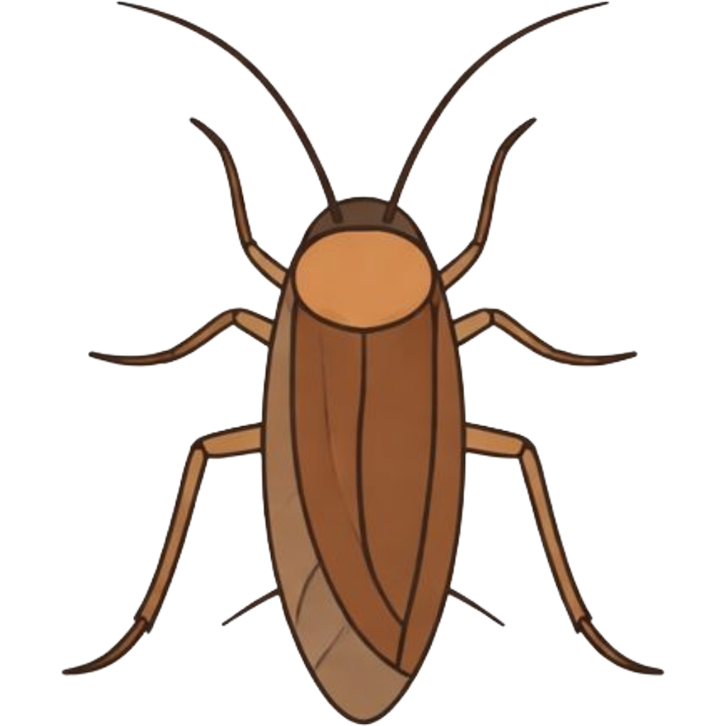 Cockroaches